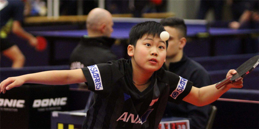 文件编号放 文件编号放